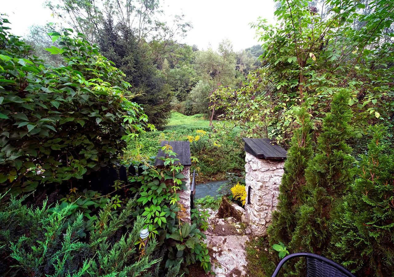 Homestay Bazar Lwowski *